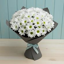 Букет цветов из:  Хризантемы в Октябрьский Башкортостан