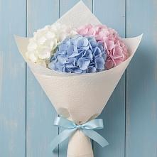 Букет цветов из:  Гортензия в Октябрьский Башкортостан