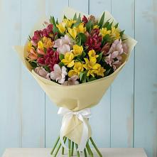 Букет цветов из:  Альстромерии #REPLACE_PRED# Октябрьский Башкортостан