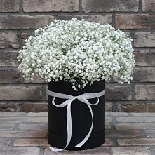 Цветочная композиция из Гипсофила в шляпной коробке #REPLACE_PRED# Октябрьский Башкортостан