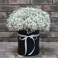 Цветочная композиция из Гипсофила в шляпной коробке в Октябрьский Башкортостан